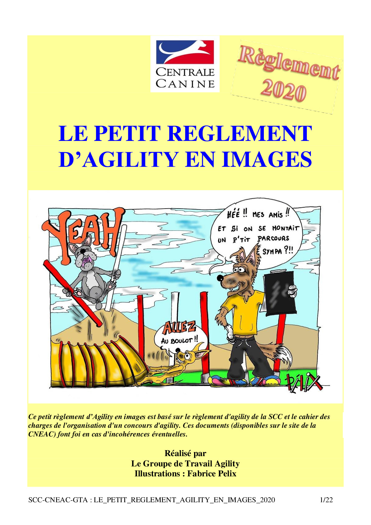 le_petit_reglement_agility_en_images_2020.pdf